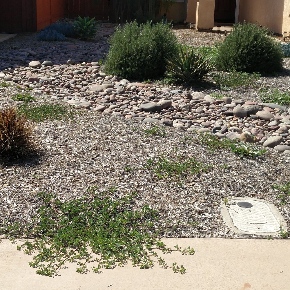 Crossman Landscape - Landscaping Near Me - Santee, California Crossman Landscape - Landscaping Near Me - Santee, California