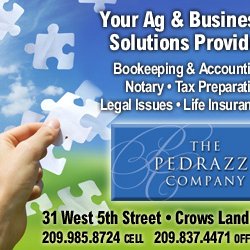 The Pedrazzi Company