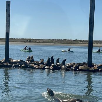 Lost Isle Adventures - Boat Tours Near Me - Morro Bay, California