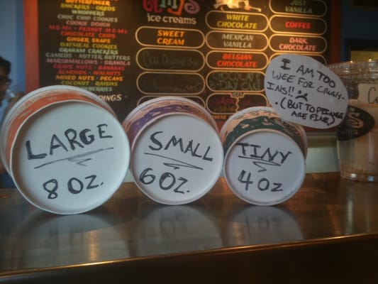 Amy's Ice Creams by null