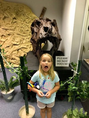 Earth Experience - Middle Tennessee Museum of Natural History by null