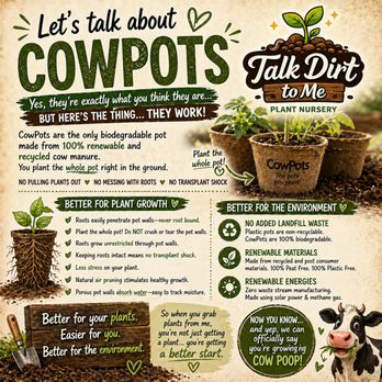 Talk Dirt to Me - Nurseries & Gardening Near Me Talk Dirt to Me - Nurseries & Gardening Near Me