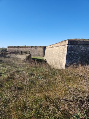 Castell de Sant Ferran by null