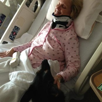 Merrimack Veterinary Hospital - The quality of a disabled person's life is dependent on the quality of life of their medical service dog.  Service dog's lives matter! - Veterinarians Near Me - Merrimack, New Hampshire