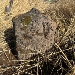 Lehmann & Associates Consulting