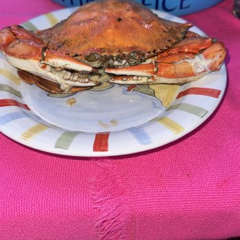 The Office - Garlic crab - Mexican Near Me - Cabo San Lucas, BCS The Office - Garlic crab - Mexican Near Me - Cabo San Lucas, BCS