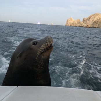 Blue Sky Cabo - Living the life. - Fishing Near Me