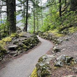 Gorge Creek Falls - Gorge Creek trail - paved section