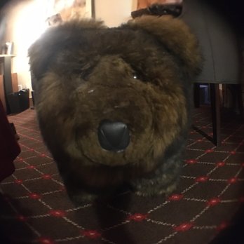 The Edgewater Hotel - Adorable bear footstools! - Hotels Near Me - Seattle, Washington The Edgewater Hotel - Adorable bear footstools! - Hotels Near Me - Seattle, Washington