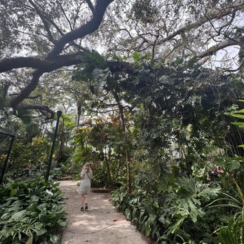 Sunken Gardens - Nurseries & Gardening Near Me - Saint Petersburg, Florida Sunken Gardens - Nurseries & Gardening Near Me - Saint Petersburg, Florida
