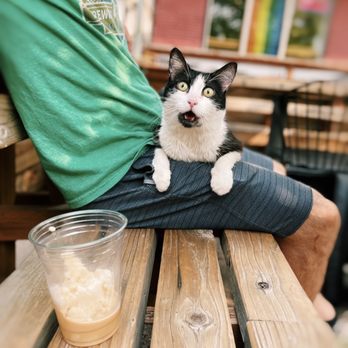 Coffee Noir - Catffeine. - Coffee & Tea Near Me - Salt Lake City, Utah