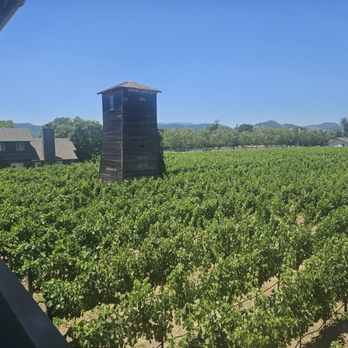 Senza Hotel - View from our room, Vineyard king - Hotels Near Me - Napa, California Senza Hotel - View from our room, Vineyard king - Hotels Near Me - Napa, California