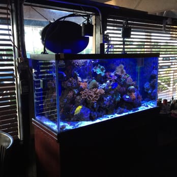 Take Sushi - Sushi Bars Near Me - Pompano Beach, Florida Take Sushi - Sushi Bars Near Me - Pompano Beach, Florida