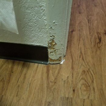 Motel 6 - Probably a rat trying to claw it's way out. - Hotels Near Me - Oklahoma City, Oklahoma Motel 6 - Probably a rat trying to claw it's way out. - Hotels Near Me - Oklahoma City, Oklahoma