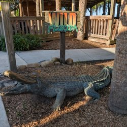 Wild Florida Adventure Park
