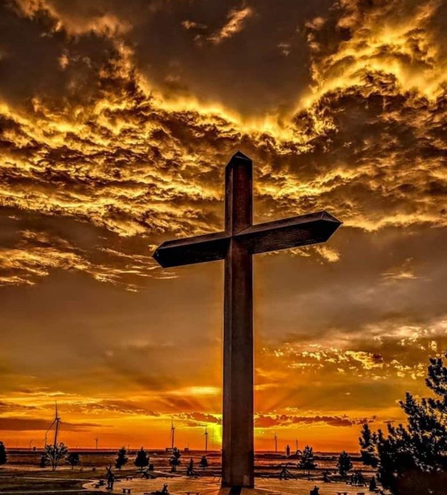 A Wise Choice Cremation & Funeral Services - veterans service organization in Mesa, AZ