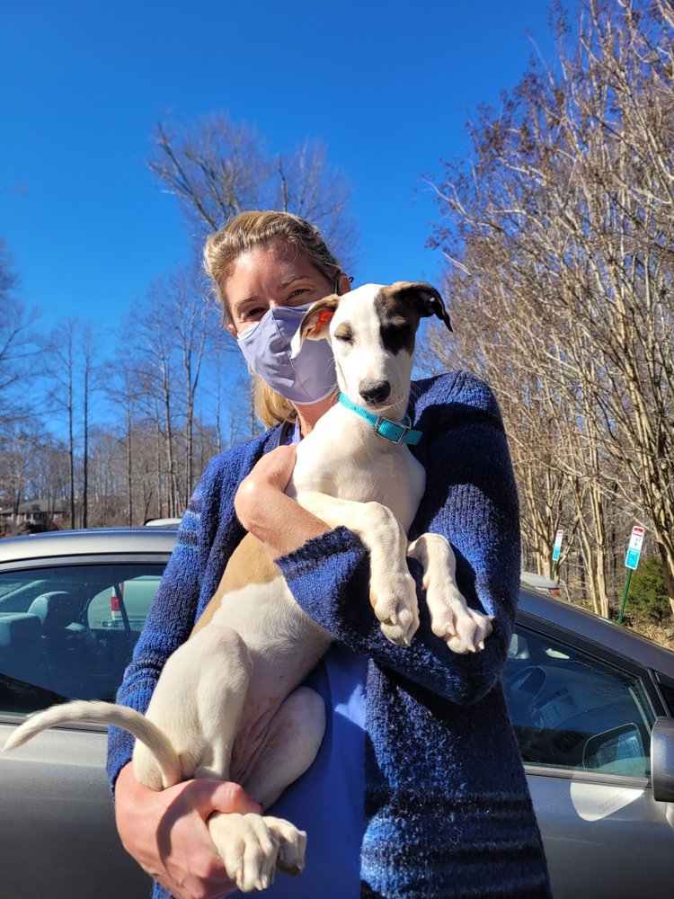 Piedmont Veterinary Clinic Image