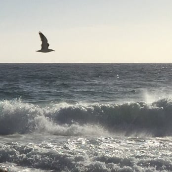 Thousand Steps Beach - Hello birdie! @ Thousand Steps Beach - Beaches Near Me - Laguna Beach, California Thousand Steps Beach - Hello birdie! @ Thousand Steps Beach - Beaches Near Me - Laguna Beach, California