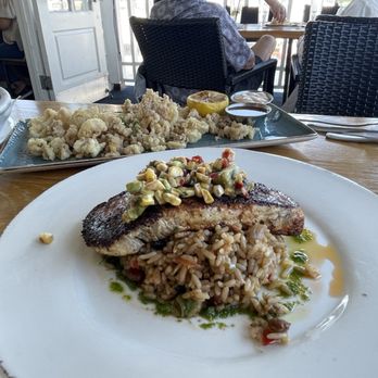 Bluewater Grill - Seafood Near Me - Coronado, California Bluewater Grill - Seafood Near Me - Coronado, California