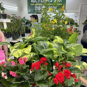 Paul Plants - Inside store 6/2025 - Nurseries & Gardening Near Me - San Antonio, Texas Paul Plants - Inside store 6/2025 - Nurseries & Gardening Near Me - San Antonio, Texas