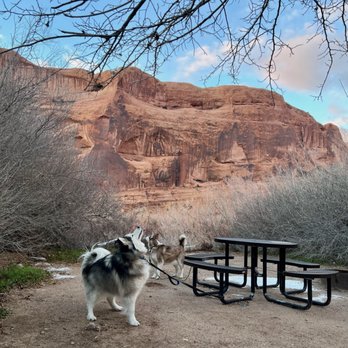 King's Bottom Campground - Campgrounds Near Me - Moab, Utah