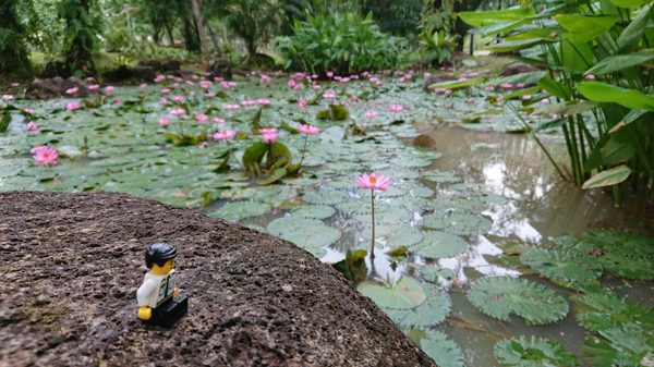 Bishan-Ang Mo Kio Park by null