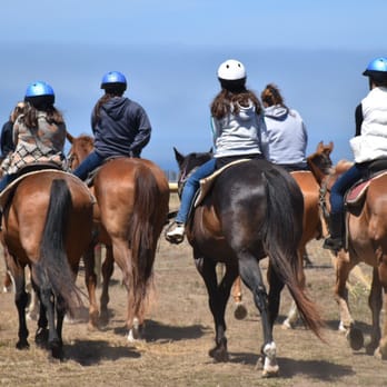 Ross Ranch - Horseback Riding Near Me - Manchester, California Ross Ranch - Horseback Riding Near Me - Manchester, California