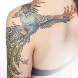 Le Boudoir de Coralie - I had suuuuuch a great time tattooing this peacock. I am very greatefull to my customer for the freedom she gave me.