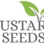 Mustard Seeds Parents’ Morning Out