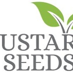 Mustard Seeds Parents’ Morning Out