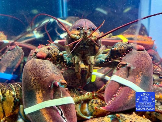 Chesapeake's Seafood Restaurant by null