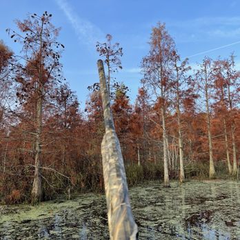 Mossy Pond Lodge - Duck hunt - Wildlife Hunting Ranges Near Me - Patterson, Georgia