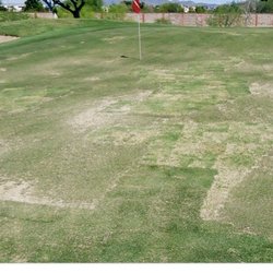Osgood Golf Course Pro Shop - The conditions on the course