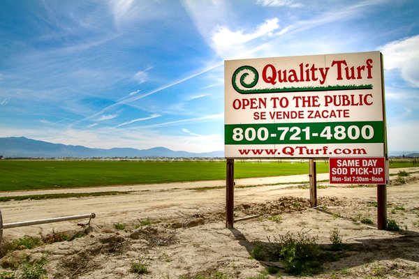 Money Tree Riverside, CA - Last Updated May 2026 - Yelp