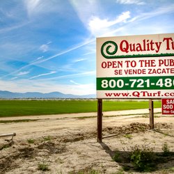 Quality Turf Sod Farm - You can see our large Quality Turf Sod Farm sign off of Warren street.