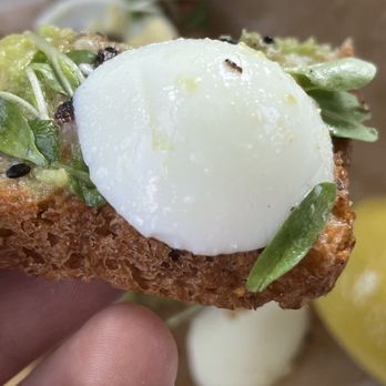 Better Buzz Coffee Escondido - Dead ant on avocado toast- hard boiled egg. I was about finished with it by the time I noticed. - Coffee & Tea Near Me - Escondido, California Better Buzz Coffee Escondido - Dead ant on avocado toast- hard boiled egg. I was about finished with it by the time I noticed. - Coffee & Tea Near Me - Escondido, California