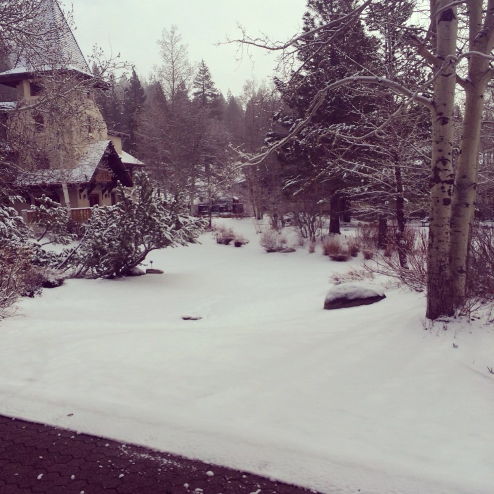 Olympic Village Inn - Hotels Near Me - Olympic Valley, California