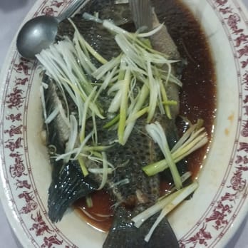 Fortune Seafood Restaurant - Steamed fish - Seafood Near Me - Kent, Washington Fortune Seafood Restaurant - Steamed fish - Seafood Near Me - Kent, Washington