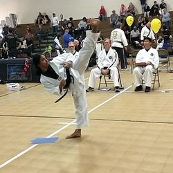 White Tiger Taekwondo Fitness Protection Connection
