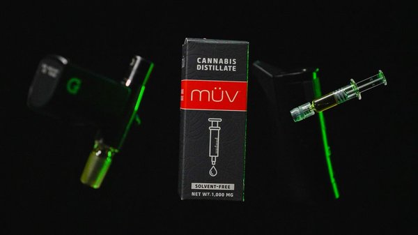 MUV DISPENSARY - TITUSVILLE - Updated July 2025 - 49 Photos - 4250 S