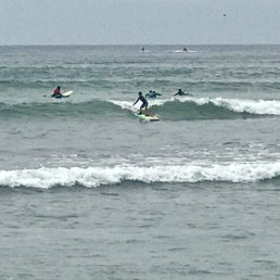7 year old shredding 7 year old shredding