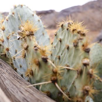 Hueco Tanks State Historic Site - Hiking Near Me - El Paso, Texas Hueco Tanks State Historic Site - Hiking Near Me - El Paso, Texas