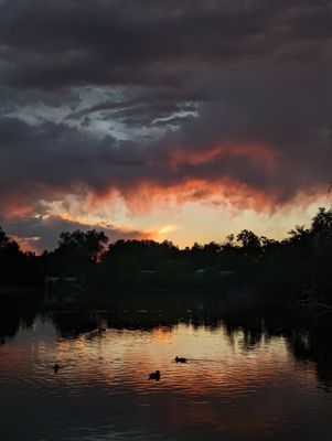 City Park West by null