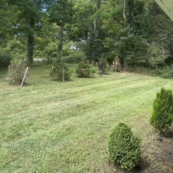 Winnie's Lawn Care - Lawn Services Near Me - Ballston Spa, New York Winnie's Lawn Care - Lawn Services Near Me - Ballston Spa, New York