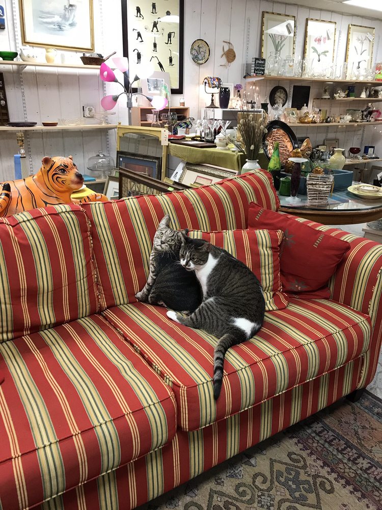 SOCKS THRIFT STORE 83 Photos & 13 Reviews 498 Carmel Dr, Fort