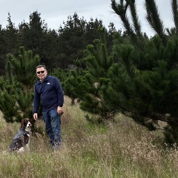 Fiscalini Ranch Preserve - Monterey Pines doing well at 3 yrs old! - Beaches Near Me - Cambria, California Fiscalini Ranch Preserve - Monterey Pines doing well at 3 yrs old! - Beaches Near Me - Cambria, California