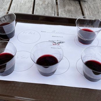 Ospreys Dominion Vineyards - four glasses of wine on a tray - Wineries Near Me - Peconic, New York Ospreys Dominion Vineyards - four glasses of wine on a tray - Wineries Near Me - Peconic, New York