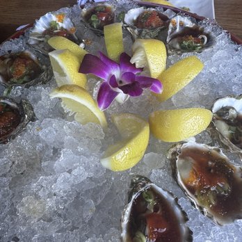 Wassabi Off The Hook - Oysters - Sushi Bars Near Me - Fresno, California Wassabi Off The Hook - Oysters - Sushi Bars Near Me - Fresno, California