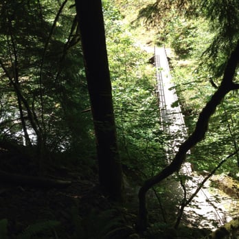 Wahclella Falls Hike - Hiking Near Me - Bonneville, Oregon Wahclella Falls Hike - Hiking Near Me - Bonneville, Oregon