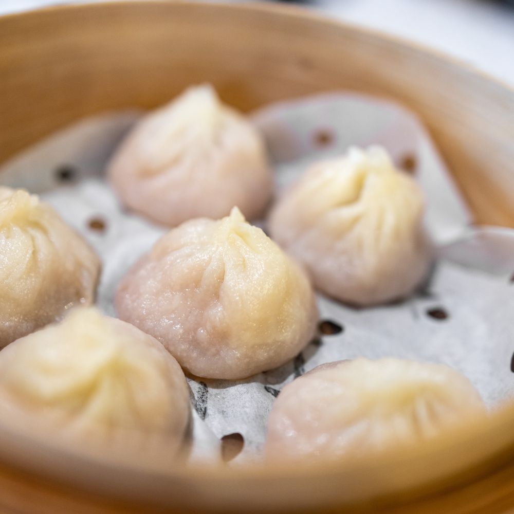 Shanghai Bun Dynasty - B1. 鲜肉小笼包 Meaty Soupy Dumplings (Xiao-Long-Bao) ($11) - Shanghainese Near Me - Cupertino, California